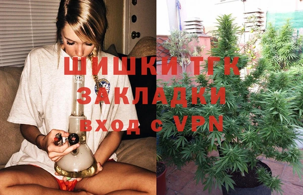 гашик Абинск