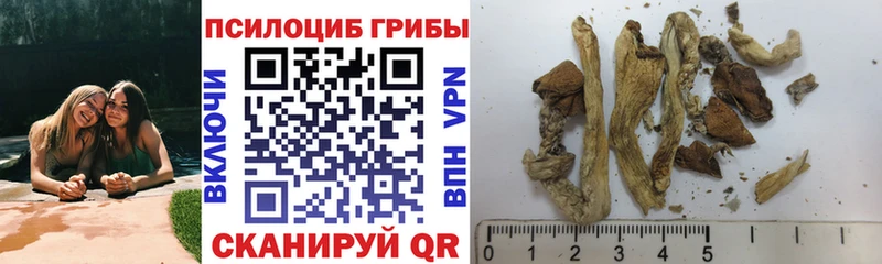 hydra сайт  Фрязино  Псилоцибиновые грибы MAGIC MUSHROOMS 
