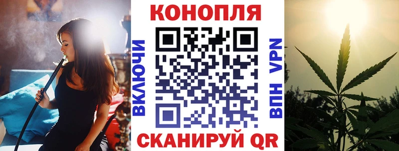 магазин продажи   Фрязино  Канабис план 
